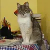 Отзыв от Софья Коршунова
